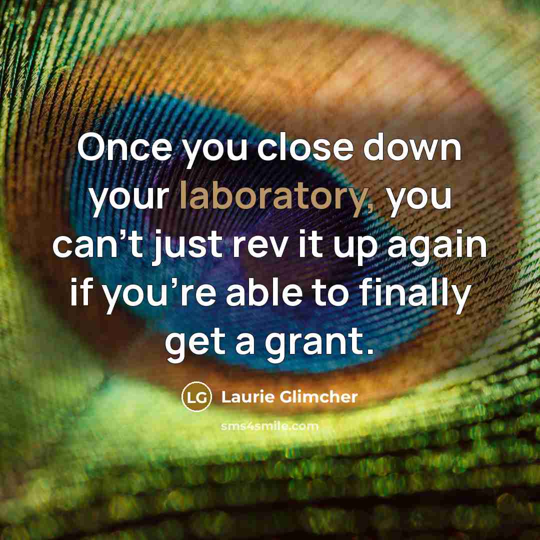 “Once you close down your laboratory, you can't just rev it up again if you're able to finally get a grant.” quote by Laurie Glimcher