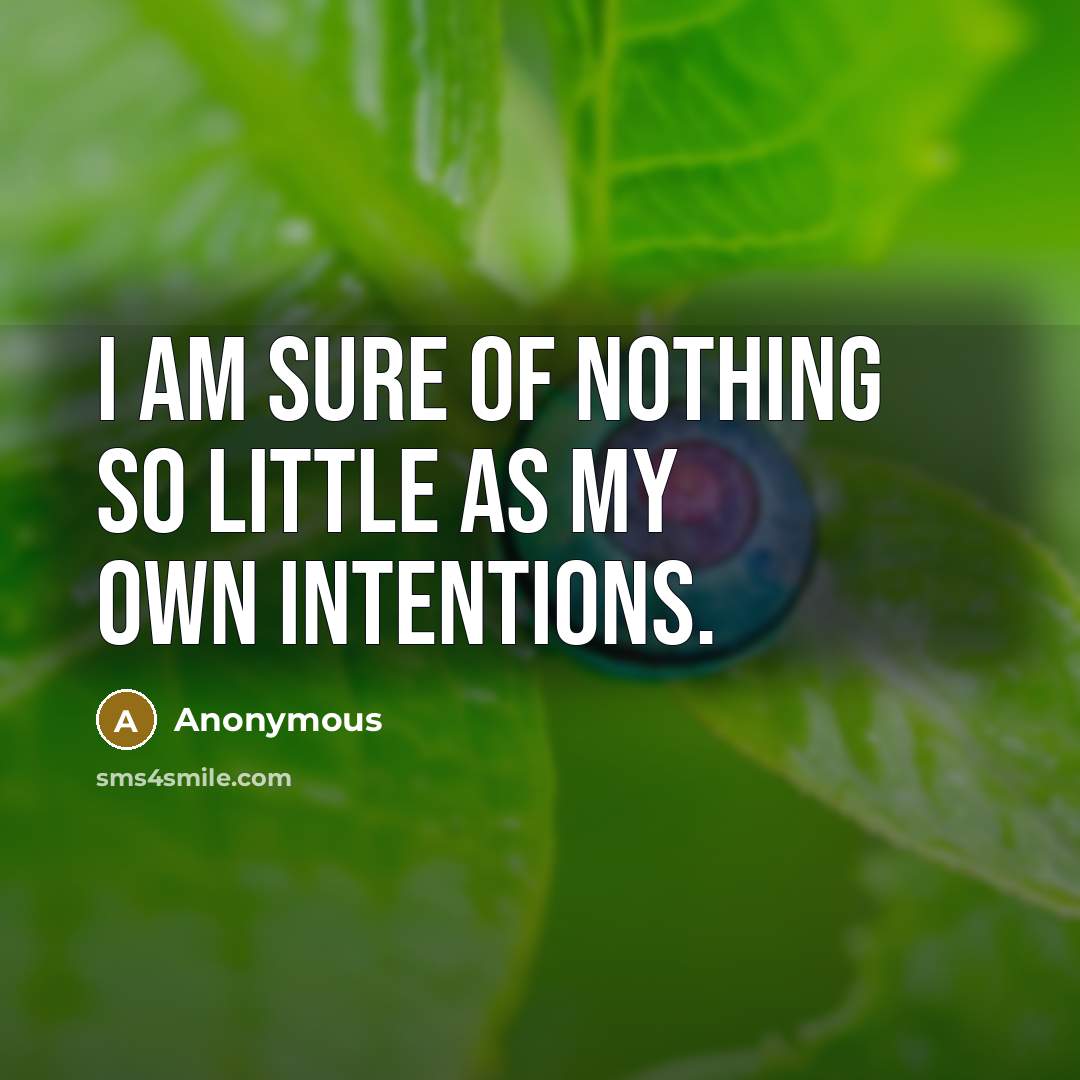 “I am sure of nothing so little as my own intentions.” quote by Anonymous