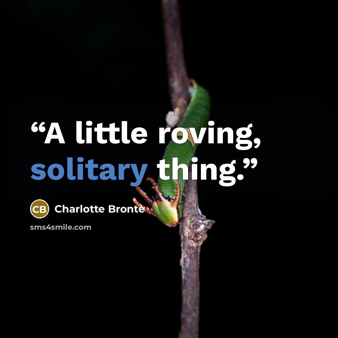 “A little roving, solitary thing.” quote by Charlotte Brontë