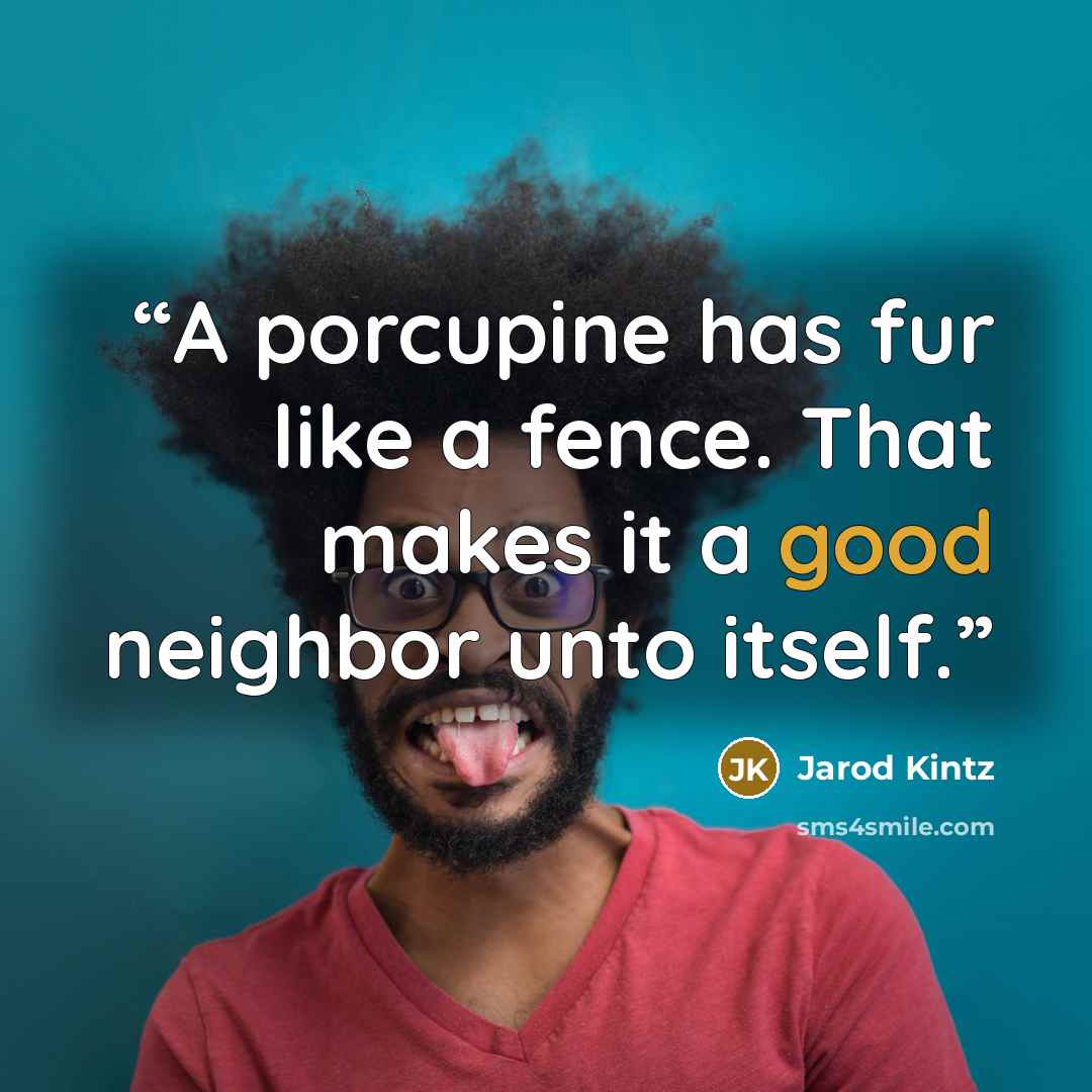 “A porcupine has fur like a fence. That makes it a good neighbor unto itself.” quote by Jarod Kintz