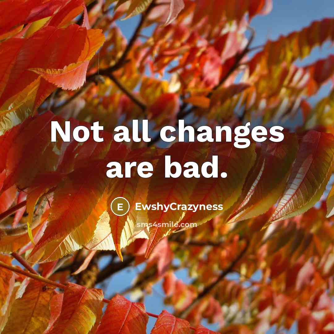 “Not all changes are bad.” quote by EwshyCrazyness