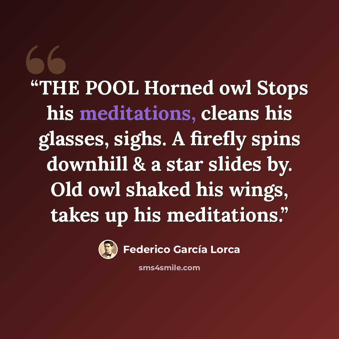“THE POOL Horned owl Stops his meditations, cleans his glasses, sighs. A firefly spins downhill & a star slides by. Old owl shaked his wings, takes up his meditations.” quote by Federico García Lorca