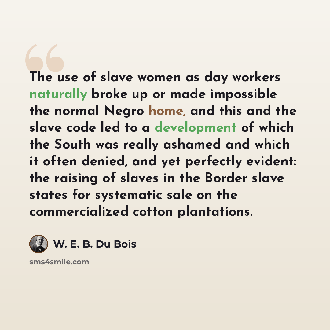 “The use of slave women as day workers naturally broke up or made impossible the normal Negro home, and this and the slave code led to a development of which the South was really ashamed and which it often denied, and yet perfectly evident: the raising of slaves in the Border slave states for…” quote by W. E. B. Du Bois