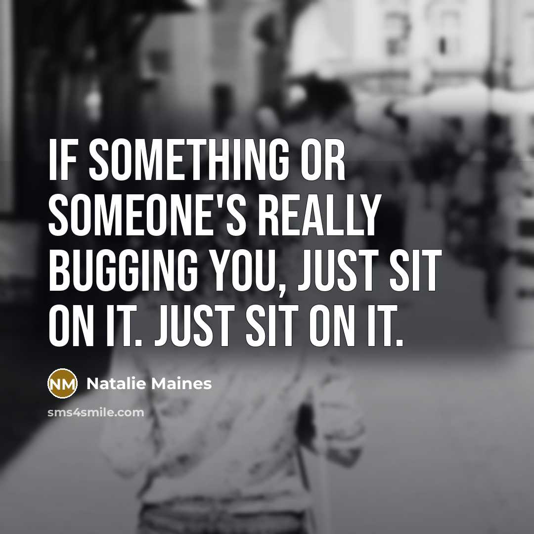 “If something or someone's really bugging you, just sit on it. Just sit on it.” quote by Natalie Maines