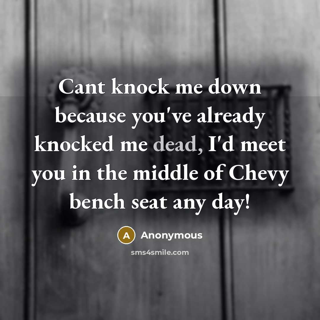 “Cant knock me down because you've already knocked me dead, I'd meet you in the middle of Chevy bench seat any day!” quote by Anonymous