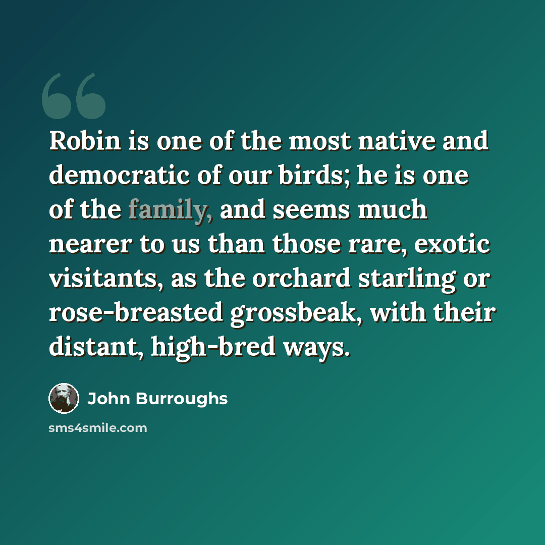 “Robin is one of the most native and democratic of our birds; he is one of the family, and seems much nearer to us than those rare, exotic visitants, as the orchard starling or rose-breasted grossbeak, with their distant, high-bred ways.” quote by John Burroughs