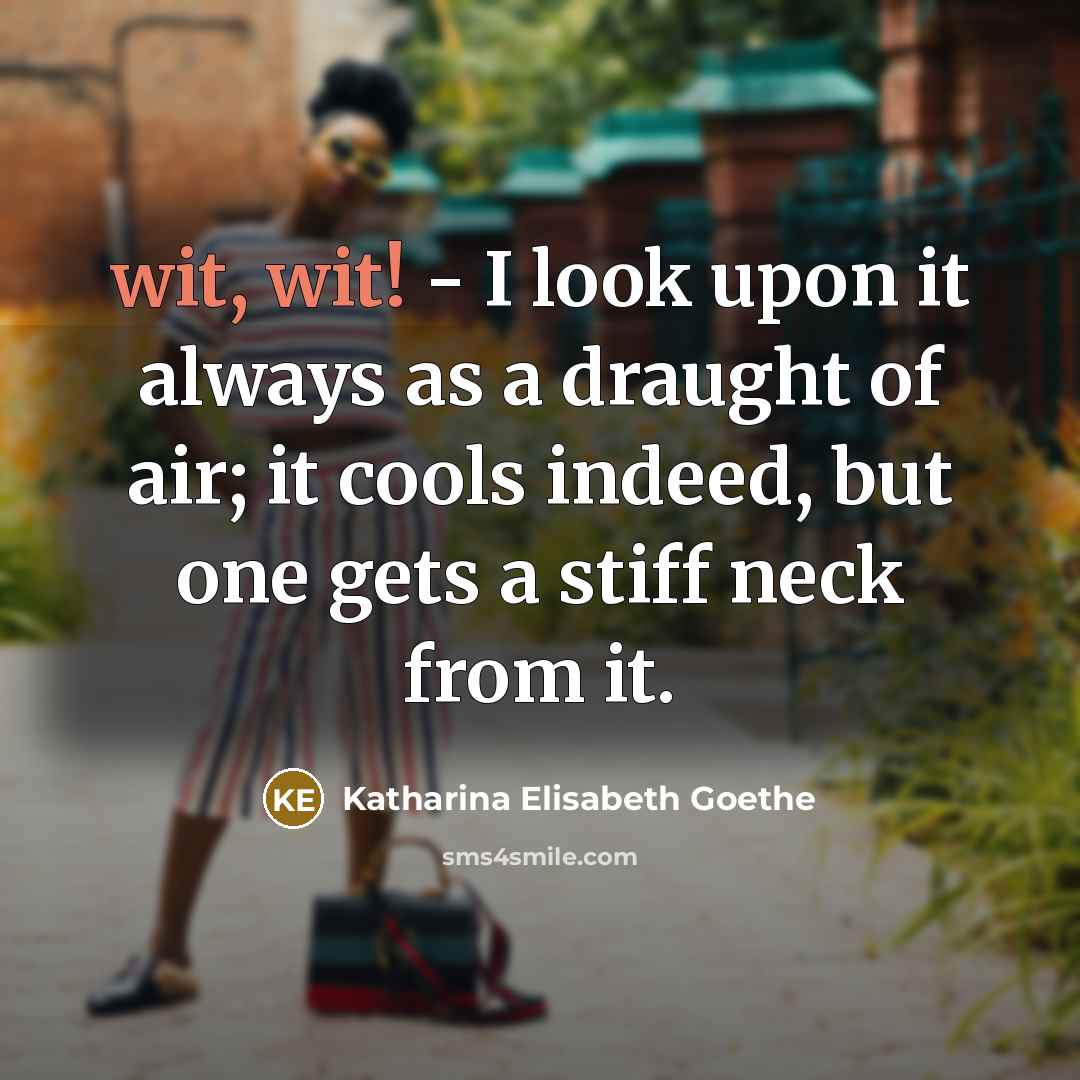 “wit, wit! - I look upon it always as a draught of air; it cools indeed, but one gets a stiff neck from it.” quote by Katharina Elisabeth Goethe