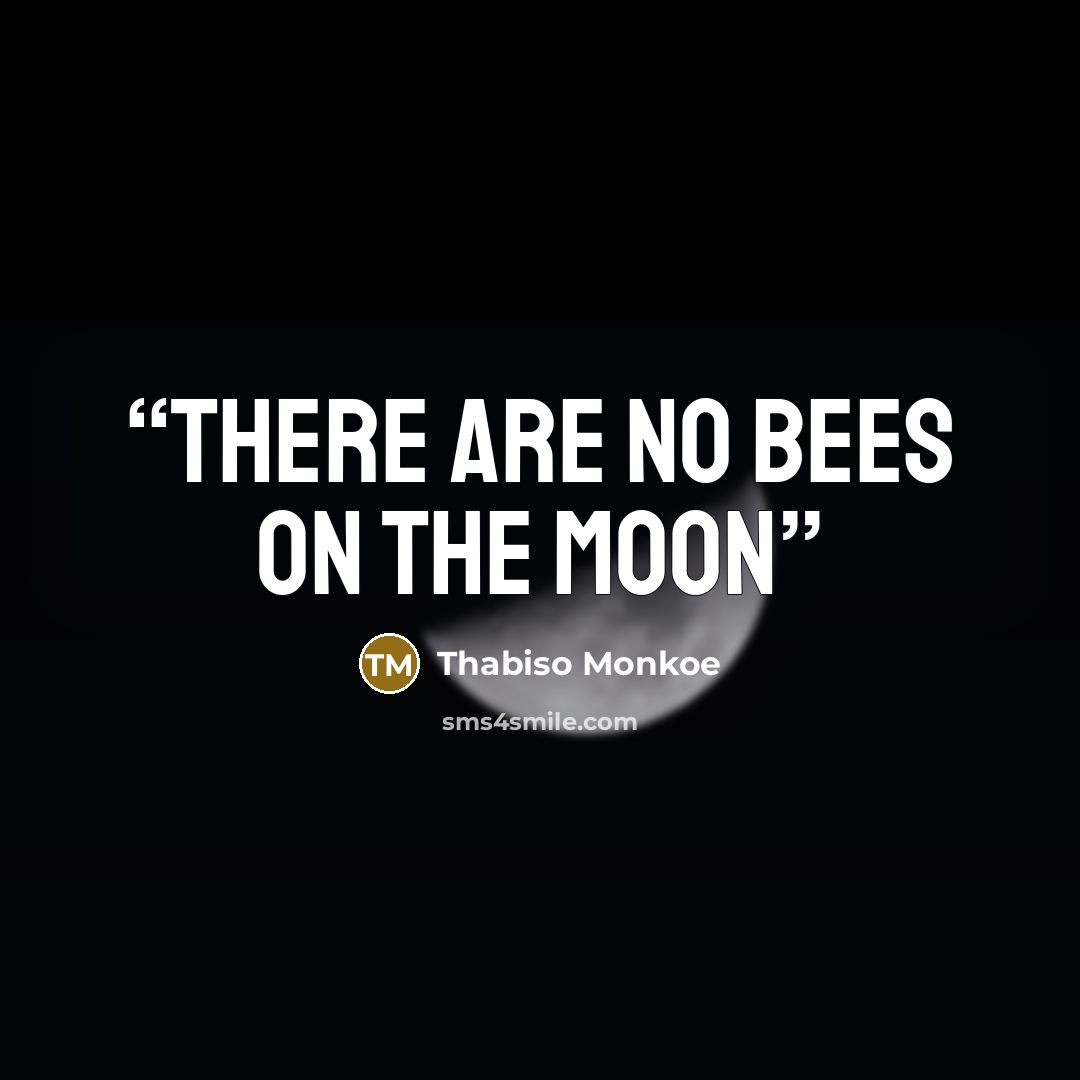 “There are no bees on the moon” quote by Thabiso Monkoe