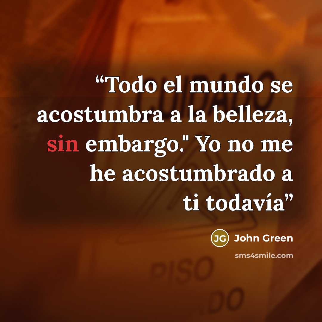 “Todo el mundo se acostumbra a la belleza, sin embargo." Yo no me he acostumbrado a ti todavía” quote by John Green