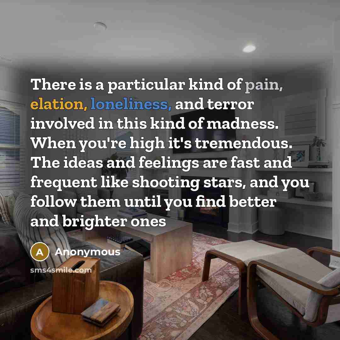 “There is a particular kind of pain, elation, loneliness, and terror involved in this kind of madness. When you're high it's tremendous. The ideas and feelings are fast and frequent like shooting stars, and you follow them until you find better and brighter ones” quote by Anonymous