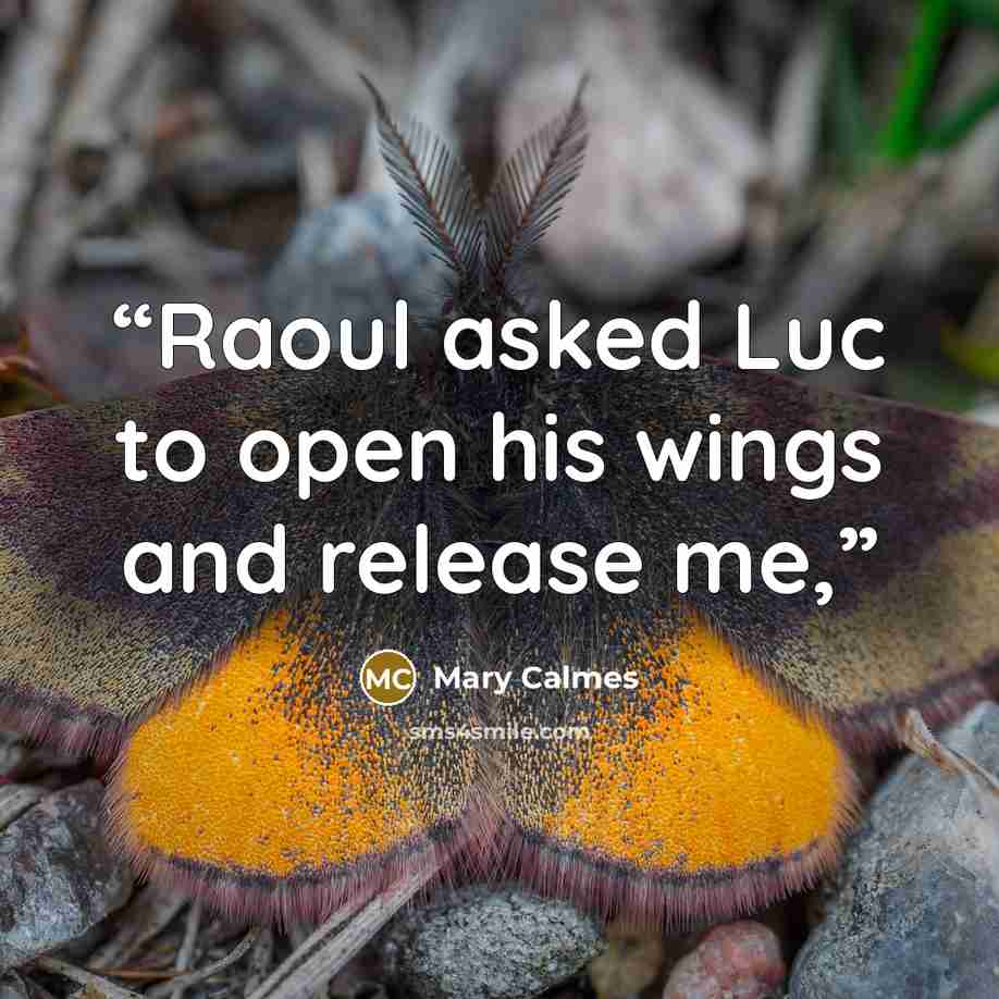 “Raoul asked Luc to open his wings and release me,” quote by Mary Calmes