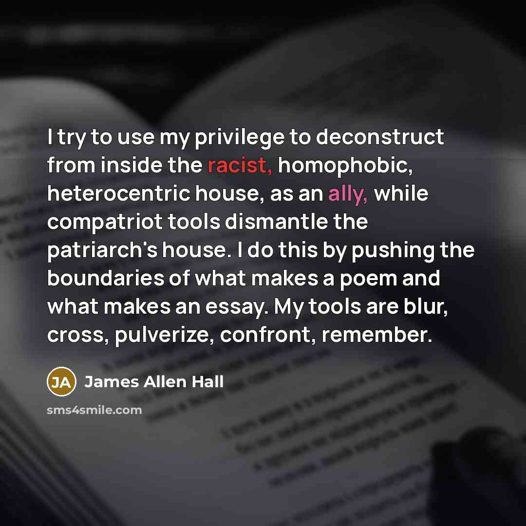 “I try to use my privilege to deconstruct from inside the racist, homophobic, heterocentric house, as an ally, while compatriot tools dismantle the patriarch's house. I do this by pushing the boundaries of what makes a poem and what makes an essay. My tools are blur, cross, pulverize, confront…” quote by James Allen Hall