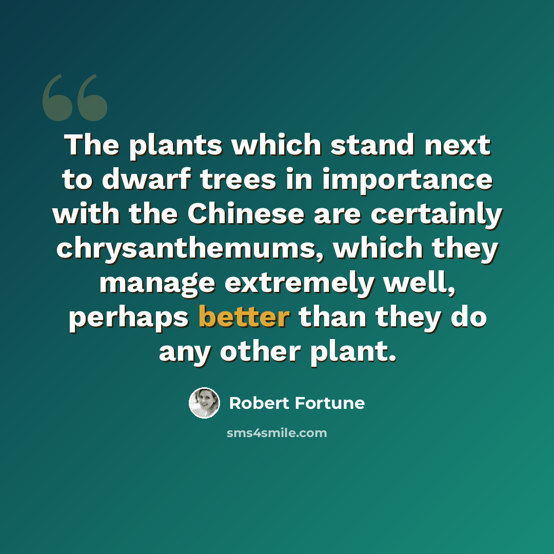 “The plants which stand next to dwarf trees in importance with the Chinese are certainly chrysanthemums, which they manage extremely well, perhaps better than they do any other plant.” quote by Robert Fortune