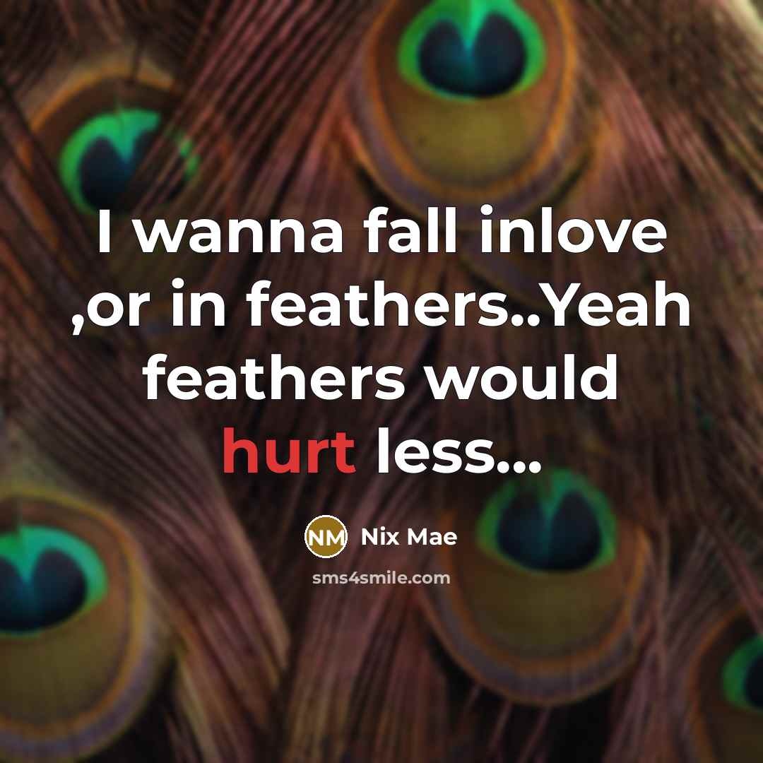 “I wanna fall inlove ,or in feathers..Yeah feathers would hurt less...” quote by Nix Mae