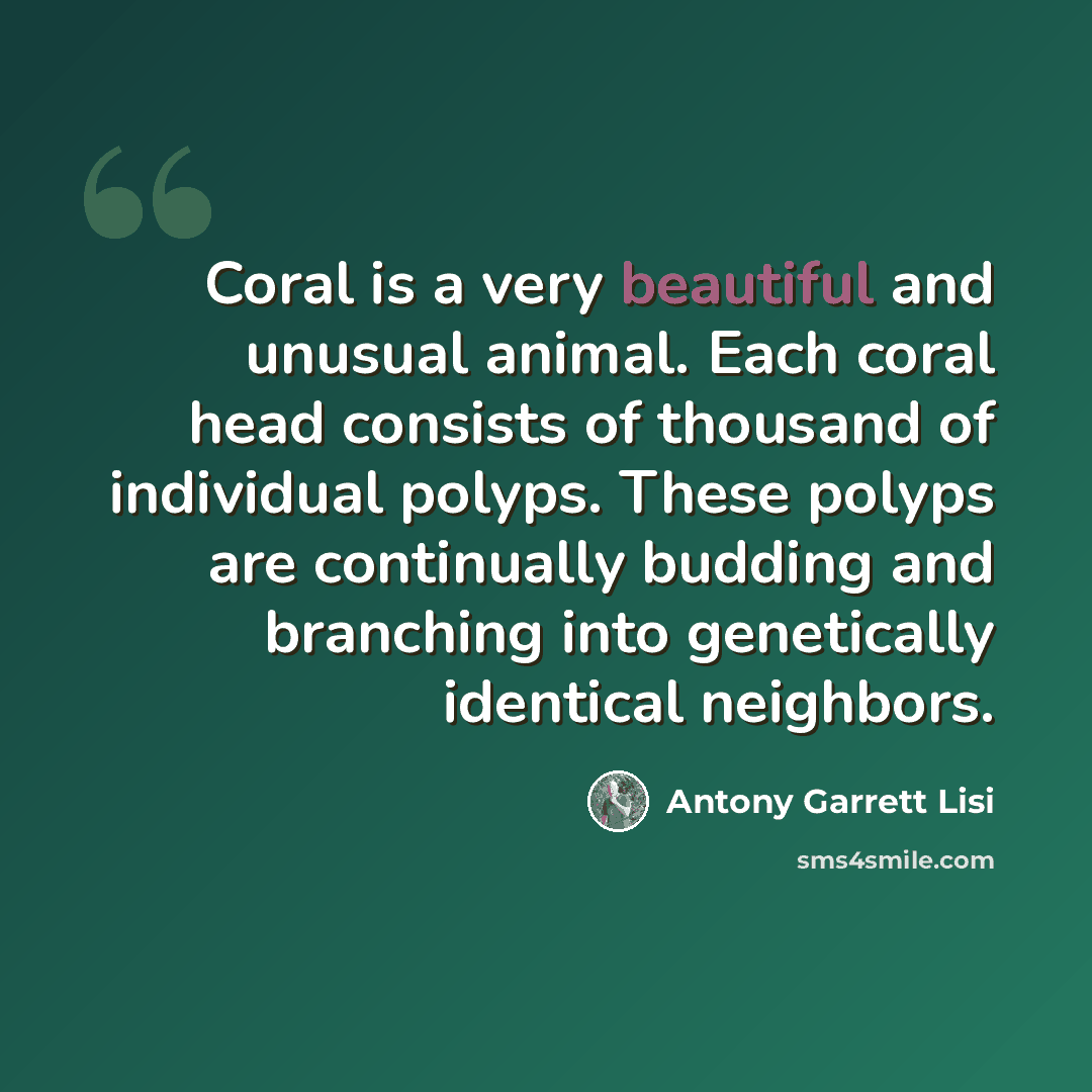 “Coral is a very beautiful and unusual animal. Each coral head consists of thousand of individual polyps. These polyps are continually budding and branching into genetically identical neighbors.” quote by Antony Garrett Lisi