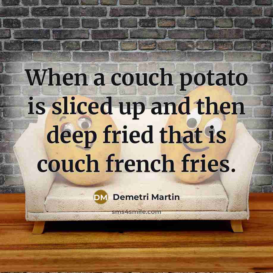 “When a couch potato is sliced up and then deep fried that is couch french fries.” quote by Demetri Martin
