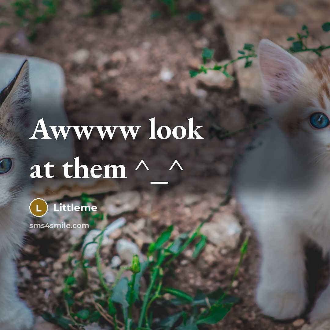 “Awwww look at them ^_^” quote by Littleme