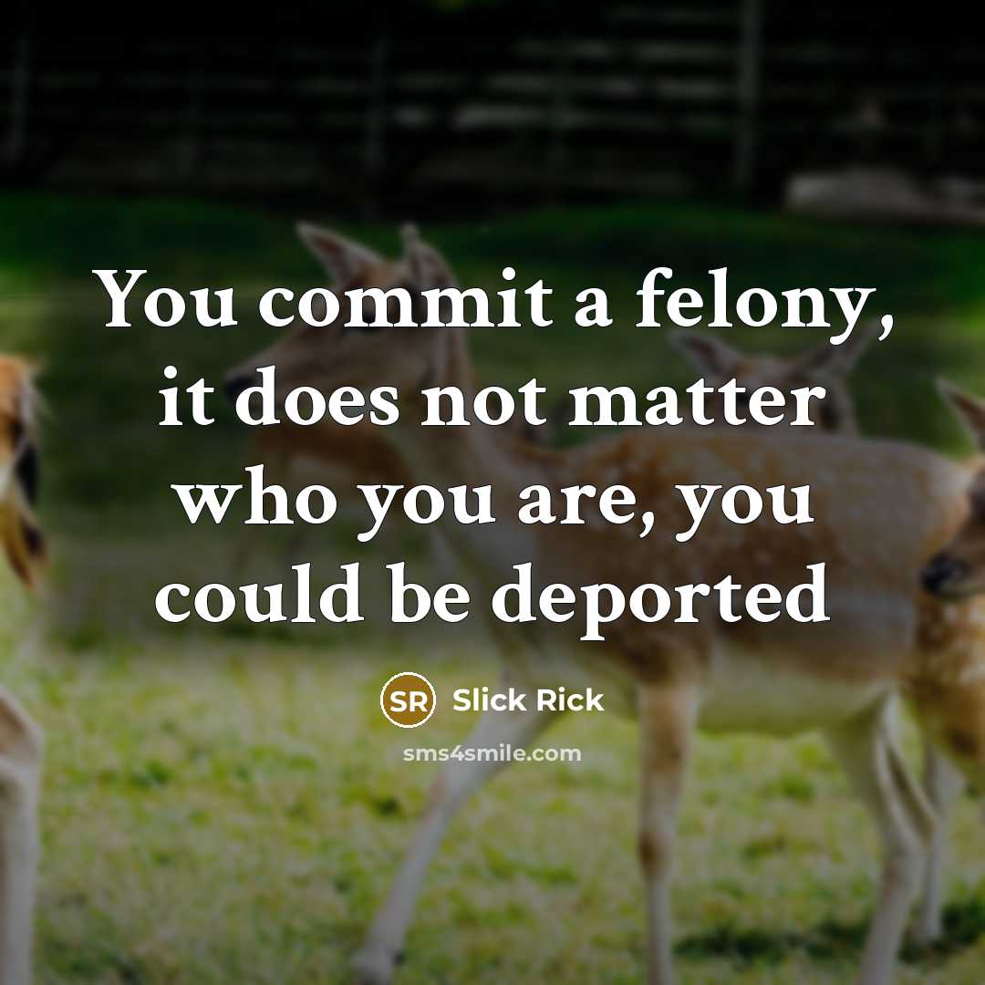 “You commit a felony, it does not matter who you are, you could be deported” quote by Slick Rick