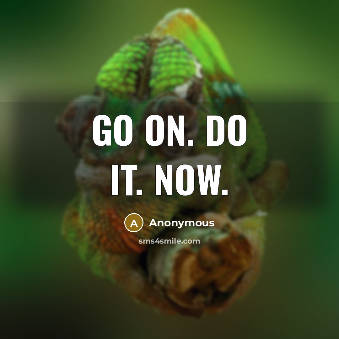 “Go on. Do it. Now.” quote by Anonymous