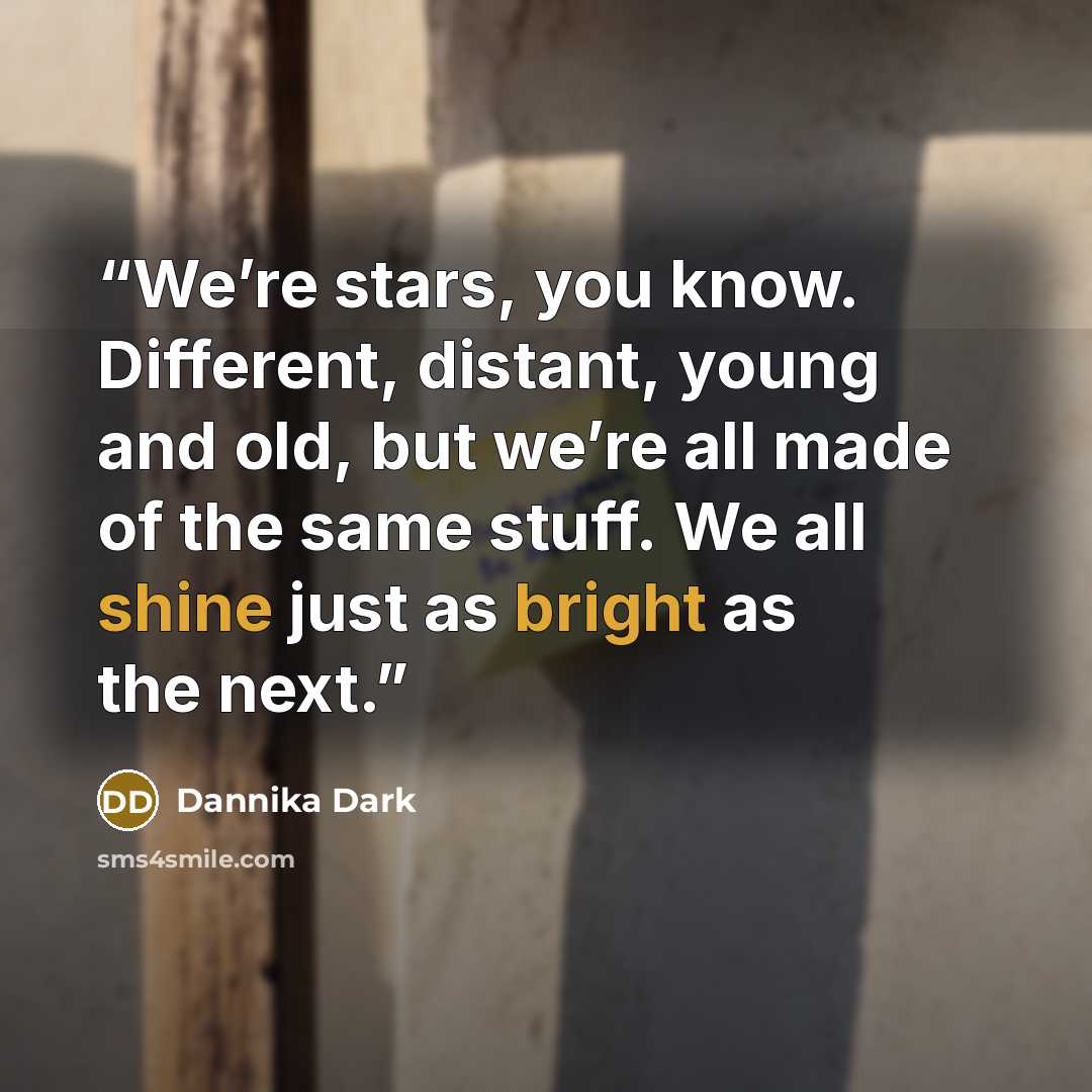 “We’re stars, you know. Different, distant, young and old, but we’re all made of the same stuff. We all shine just as bright as the next.” quote by Dannika Dark