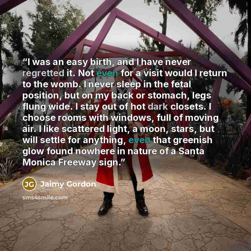 “I was an easy birth, and I have never regretted it. Not even for a visit would I return to the womb. I never sleep in the fetal position, but on my back or stomach, legs flung wide. I stay out of hot dark closets. I choose rooms with windows, full of moving air. I like scattered light, a moon…” quote by Jaimy Gordon