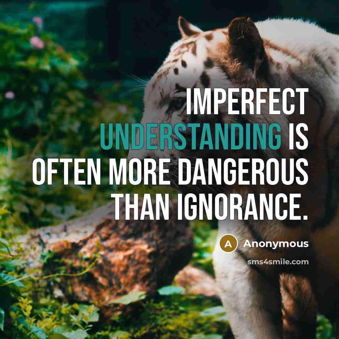 “Imperfect understanding is often more dangerous than ignorance.” quote by Anonymous
