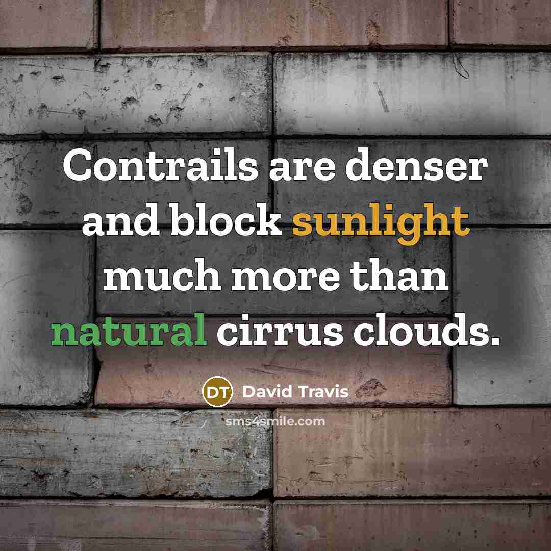 “Contrails are denser and block sunlight much more than natural cirrus clouds.” quote by David Travis