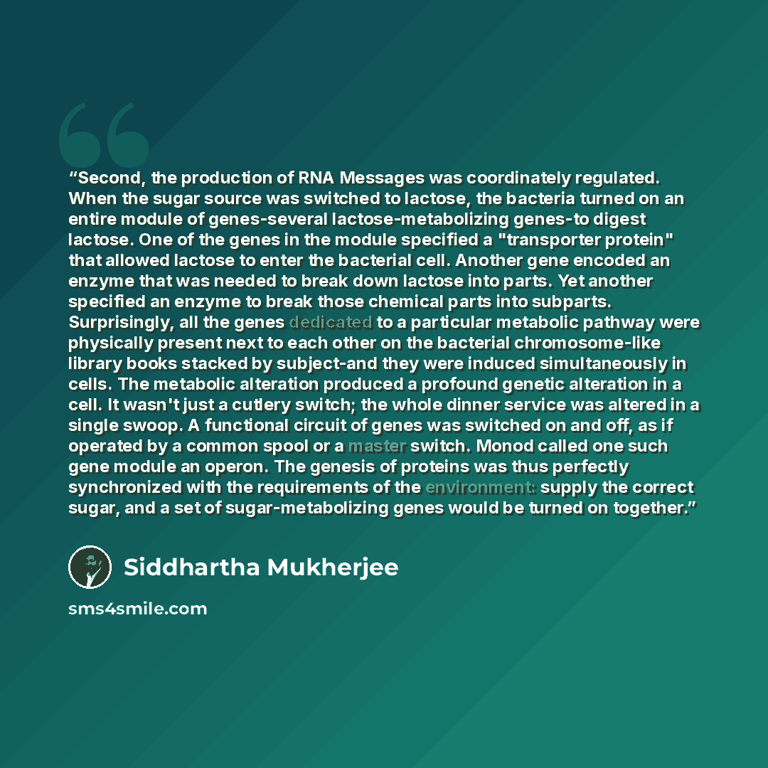 “Second, the production of RNA Messages was coordinately regulated. When the sugar source was switched to lactose, the bacteria turned on an entire module of genes-several lactose-metabolizing genes-to digest lactose. One of the genes in the module specified a "transporter protein" that allowed…” quote by Siddhartha Mukherjee