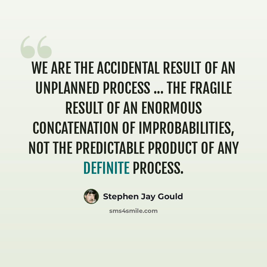 “We are the accidental result of an unplanned process ... the fragile result of an enormous concatenation of improbabilities, not the predictable product of any definite process.” quote by Stephen Jay Gould