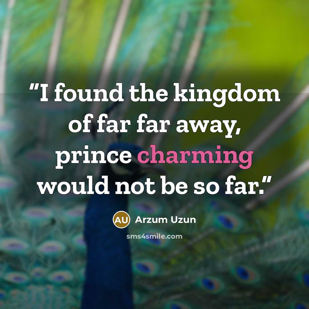 “I found the kingdom of far far away, prince charming would not be so far.” quote by Arzum Uzun