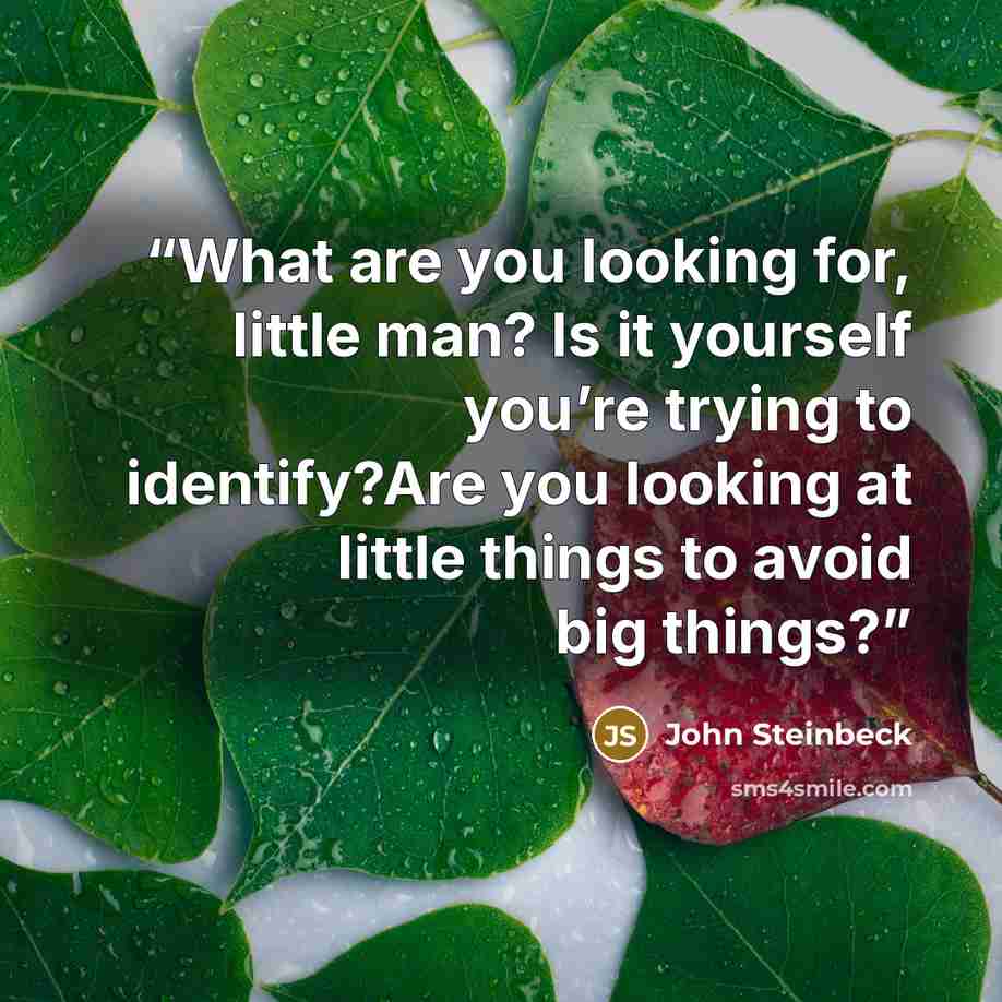 “What are you looking for, little man? Is it yourself you’re trying to identify?Are you looking at little things to avoid big things?” quote by John Steinbeck