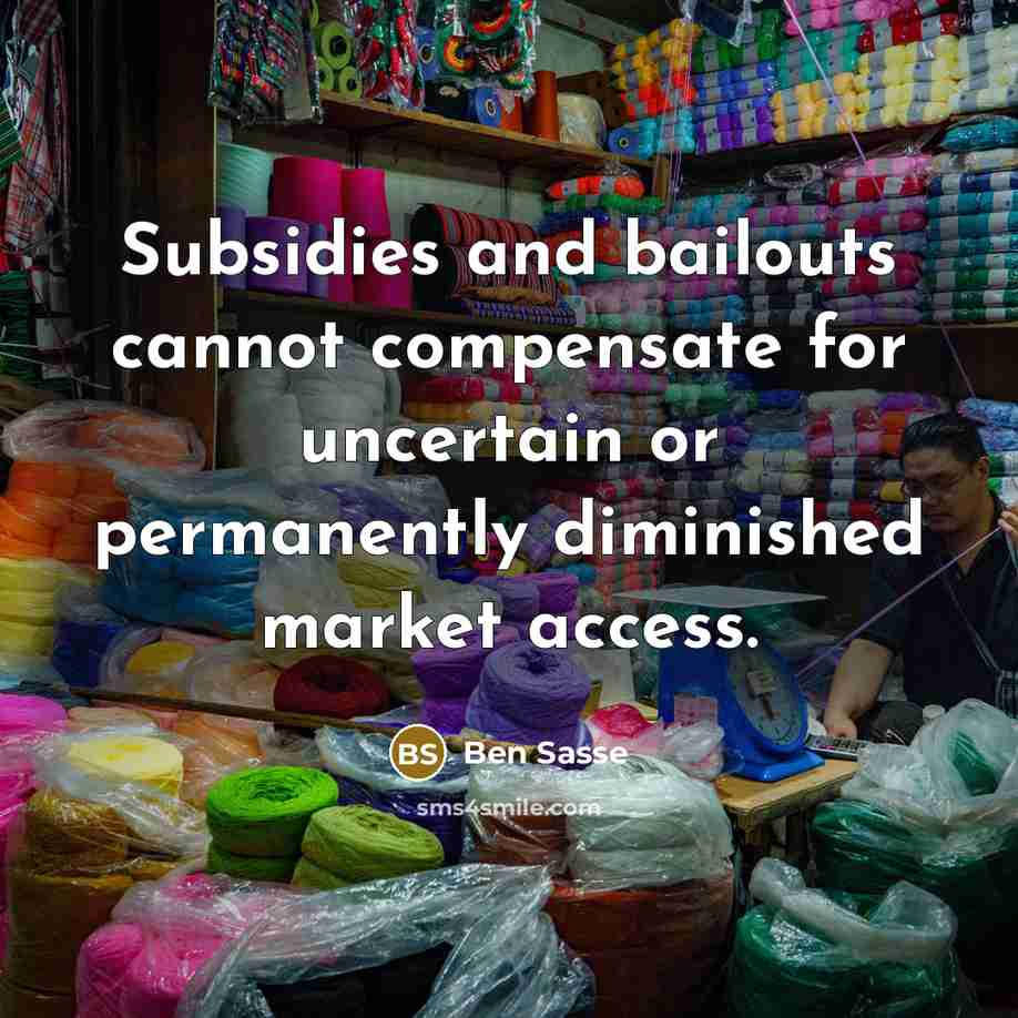 “Subsidies and bailouts cannot compensate for uncertain or permanently diminished market access.” quote by Ben Sasse