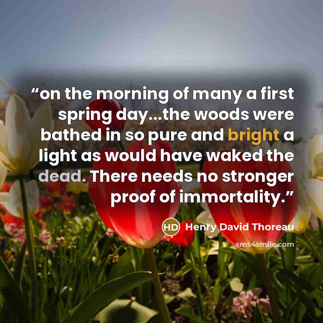 “on the morning of many a first spring day...the woods were bathed in so pure and bright a light as would have waked the dead. There needs no stronger proof of immortality.” quote by Henry David Thoreau