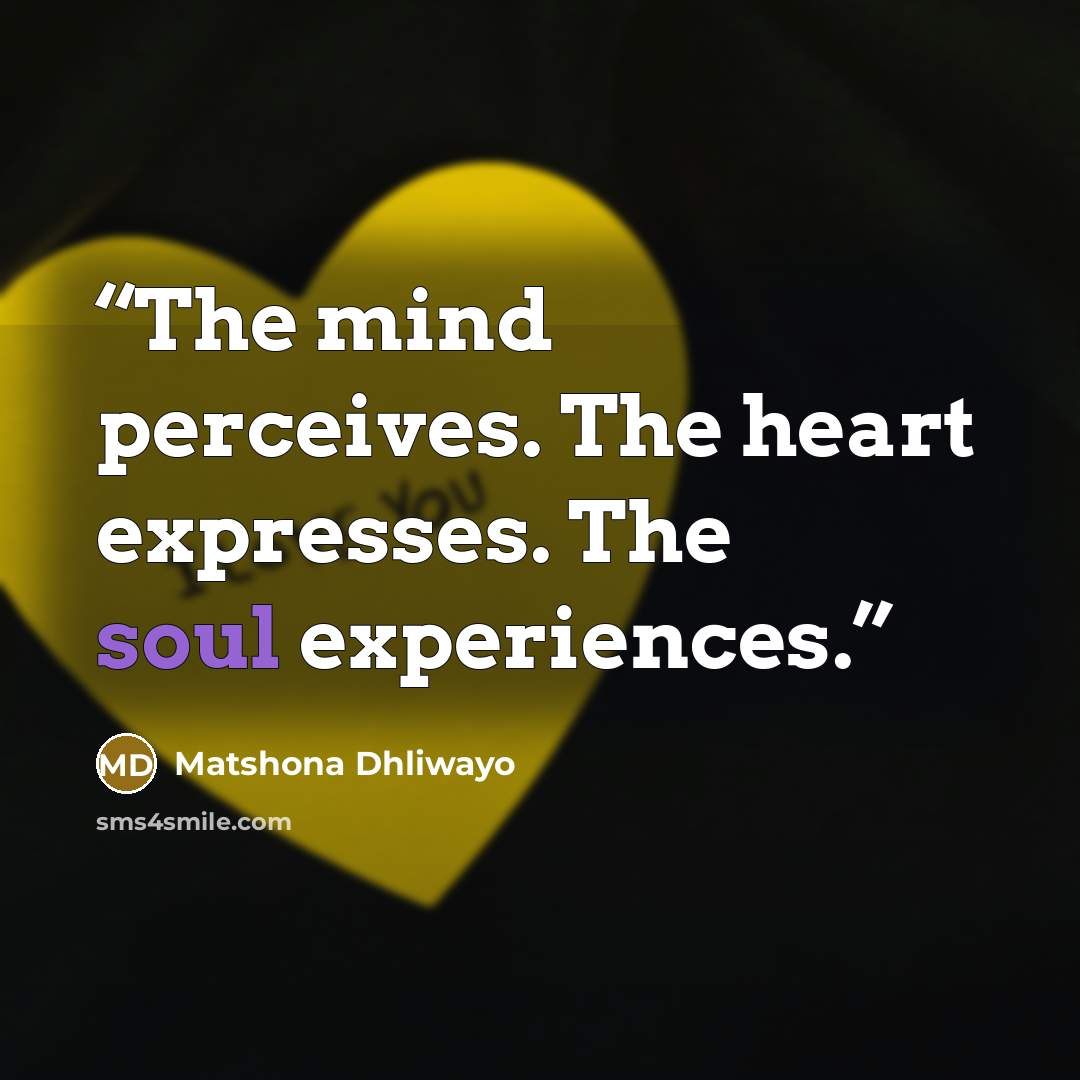 “The mind perceives. The heart expresses. The soul experiences.” quote by Matshona Dhliwayo