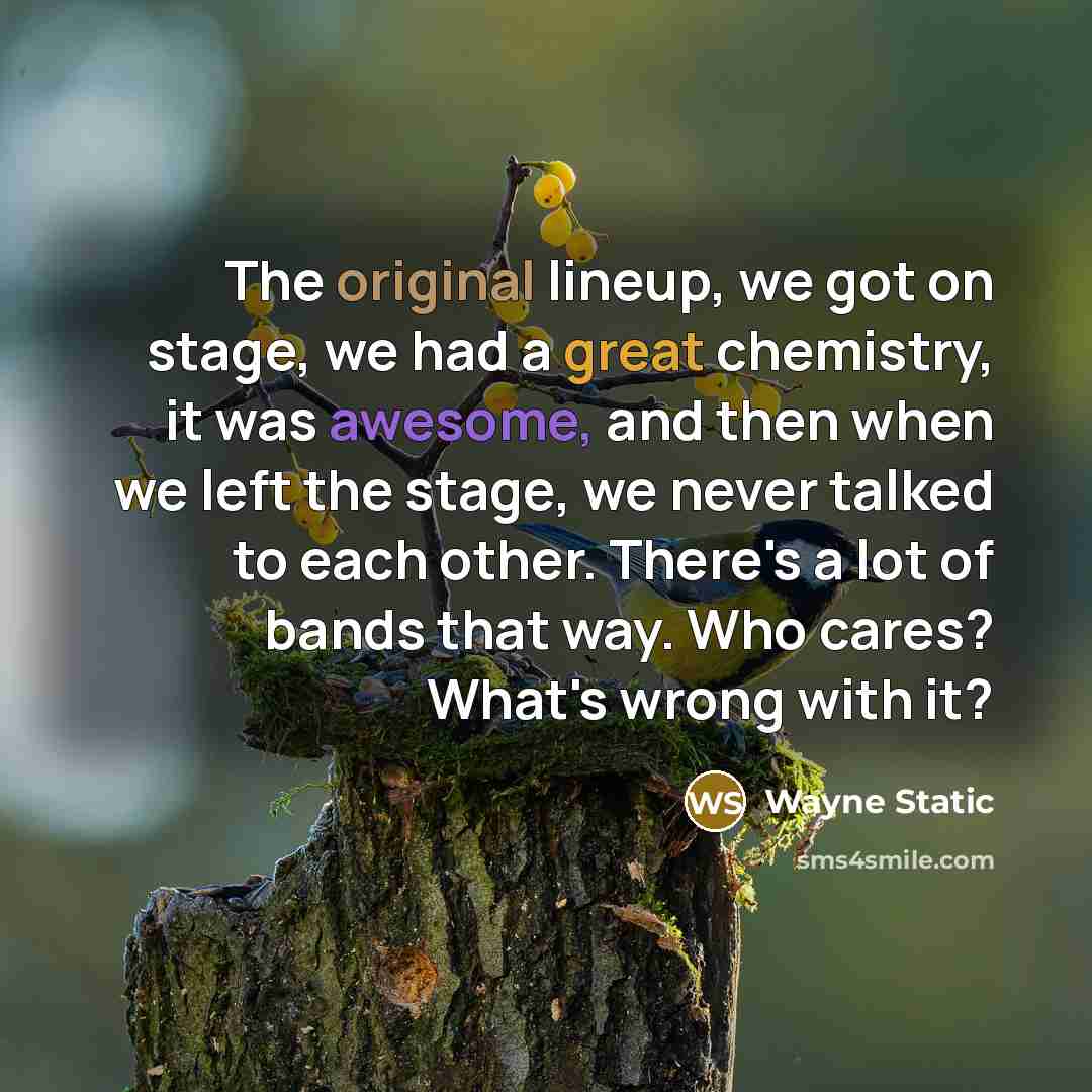 “The original lineup, we got on stage, we had a great chemistry, it was awesome, and then when we left the stage, we never talked to each other. There's a lot of bands that way. Who cares? What's wrong with it?” quote by Wayne Static