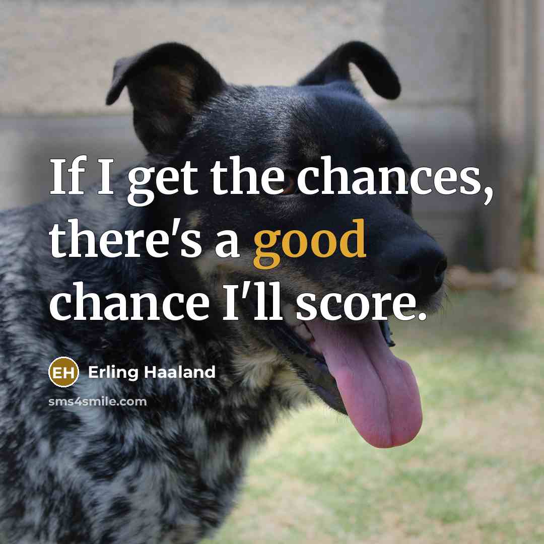 “If I get the chances, there's a good chance I'll score.” quote by Erling Haaland
