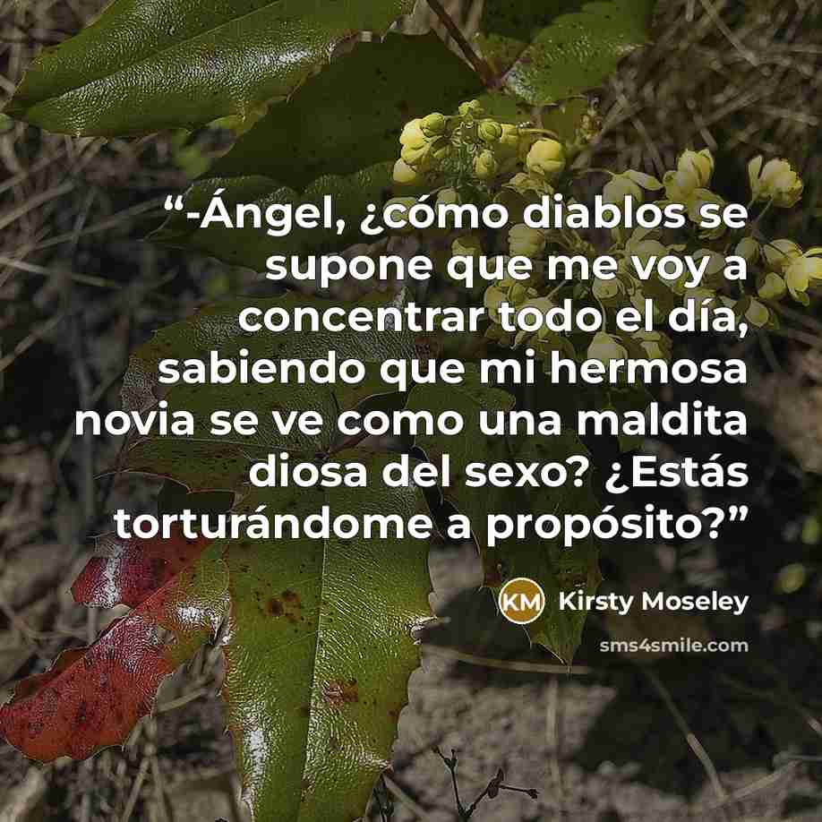 “-Ángel, ¿cómo diablos se supone que me voy a concentrar todo el día, sabiendo que mi hermosa novia se ve como una maldita diosa del sexo? ¿Estás torturándome a propósito?” quote by Kirsty Moseley