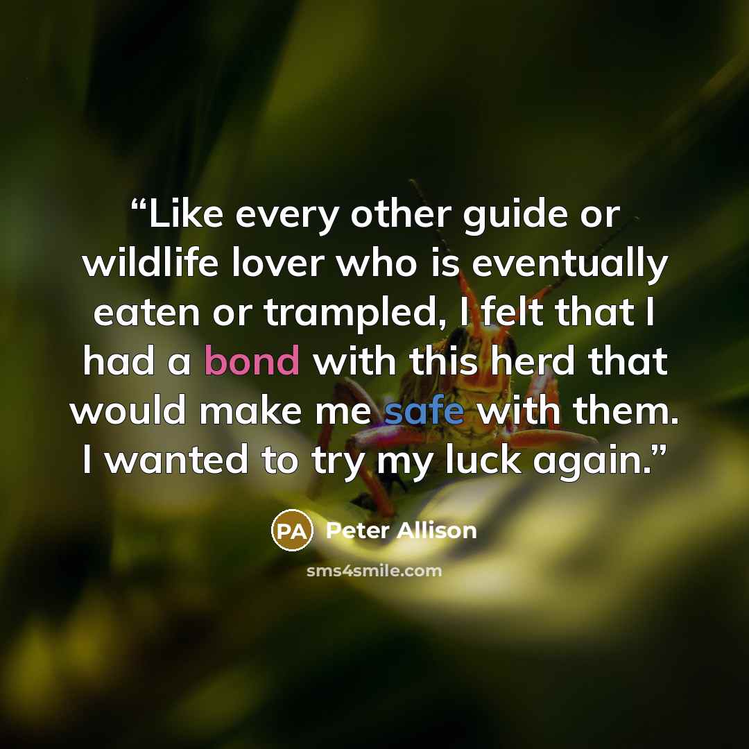 “Like every other guide or wildlife lover who is eventually eaten or trampled, I felt that I had a bond with this herd that would make me safe with them. I wanted to try my luck again.” quote by Peter Allison