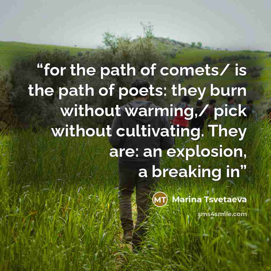 “for the path of comets/ is the path of poets: they burn without warming,/ pick without cultivating. They are: an explosion, a breaking in” quote by Marina Tsvetaeva