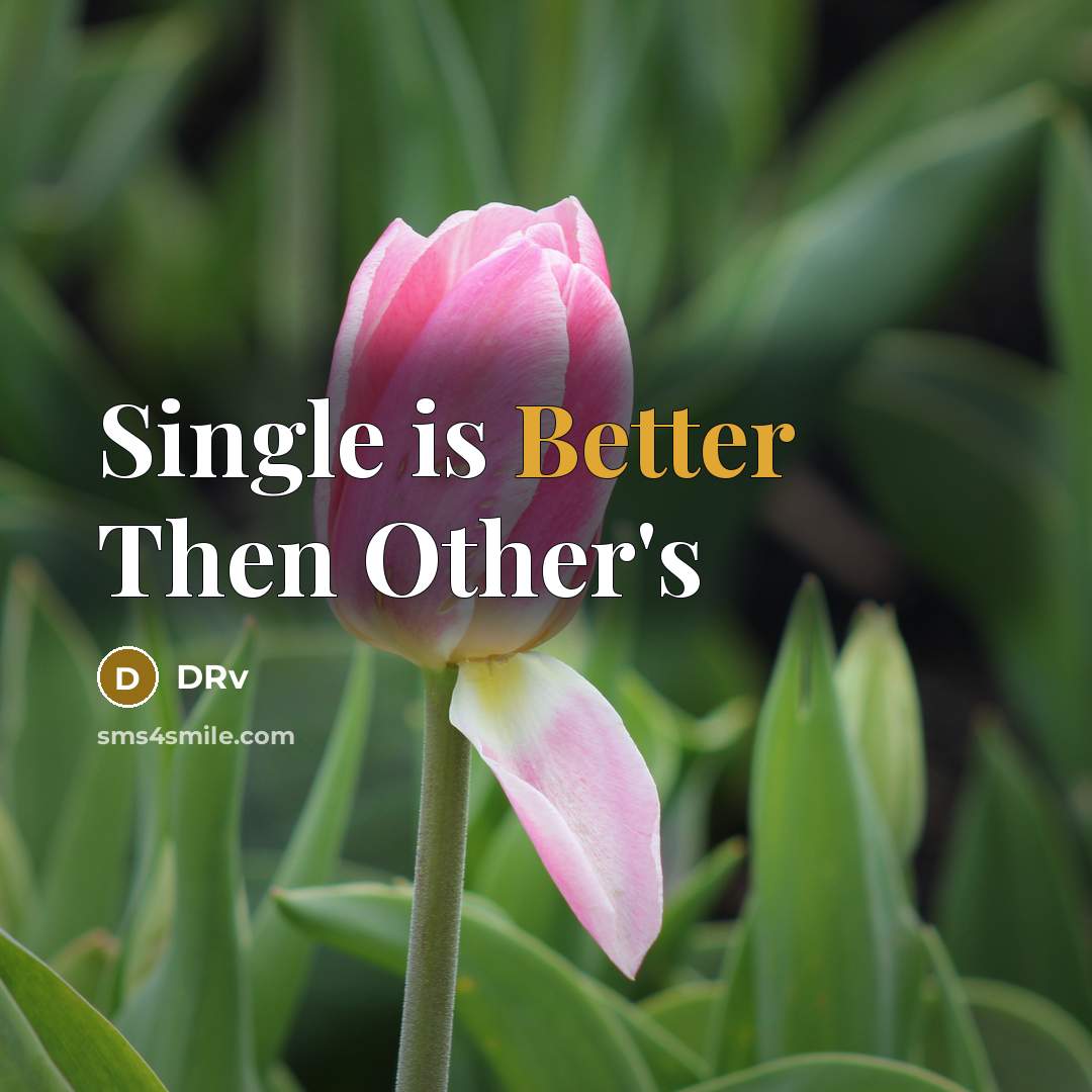 “Single is Better Then Other's” quote by DRv
