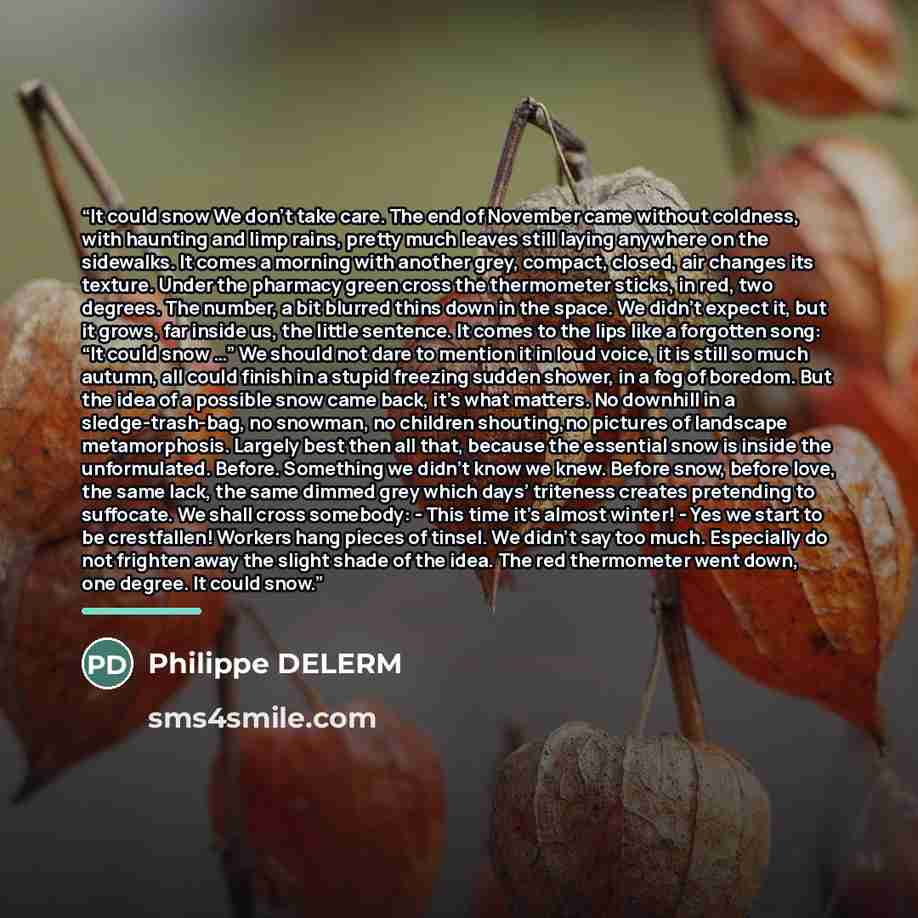“It could snow We don’t take care. The end of November came without coldness, with haunting and limp rains, pretty much leaves still laying anywhere on the sidewalks. It comes a morning with another grey, compact, closed, air changes its texture. Under the pharmacy green cross the thermometer…” quote by Philippe Delerm