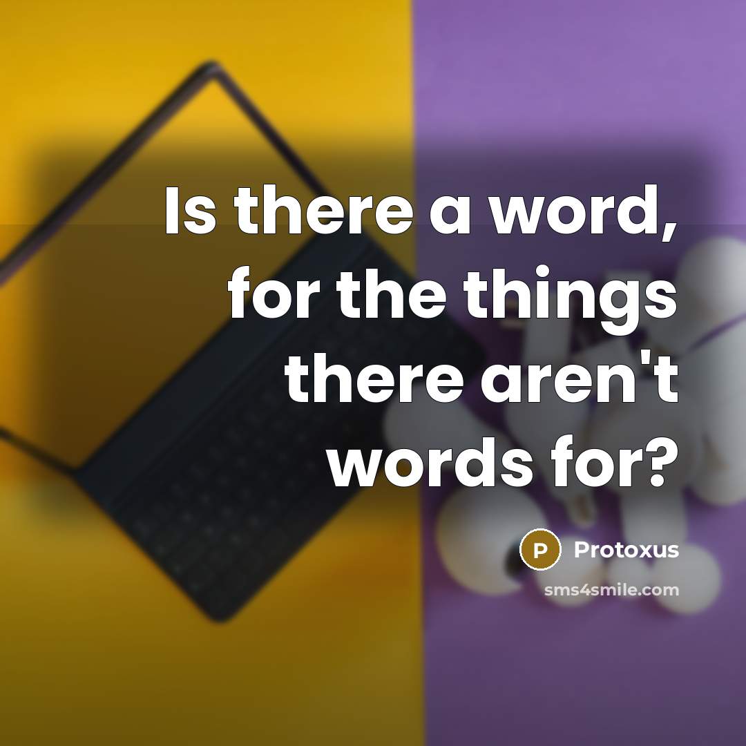 “Is there a word, for the things there aren't words for?” quote by Protoxus
