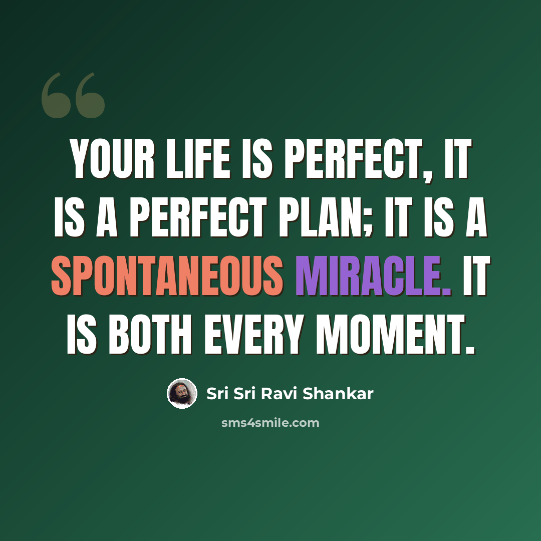 “Your life is perfect, it is a perfect plan; it is a spontaneous miracle. It is both every moment.” quote by Sri Sri Ravi Shankar
