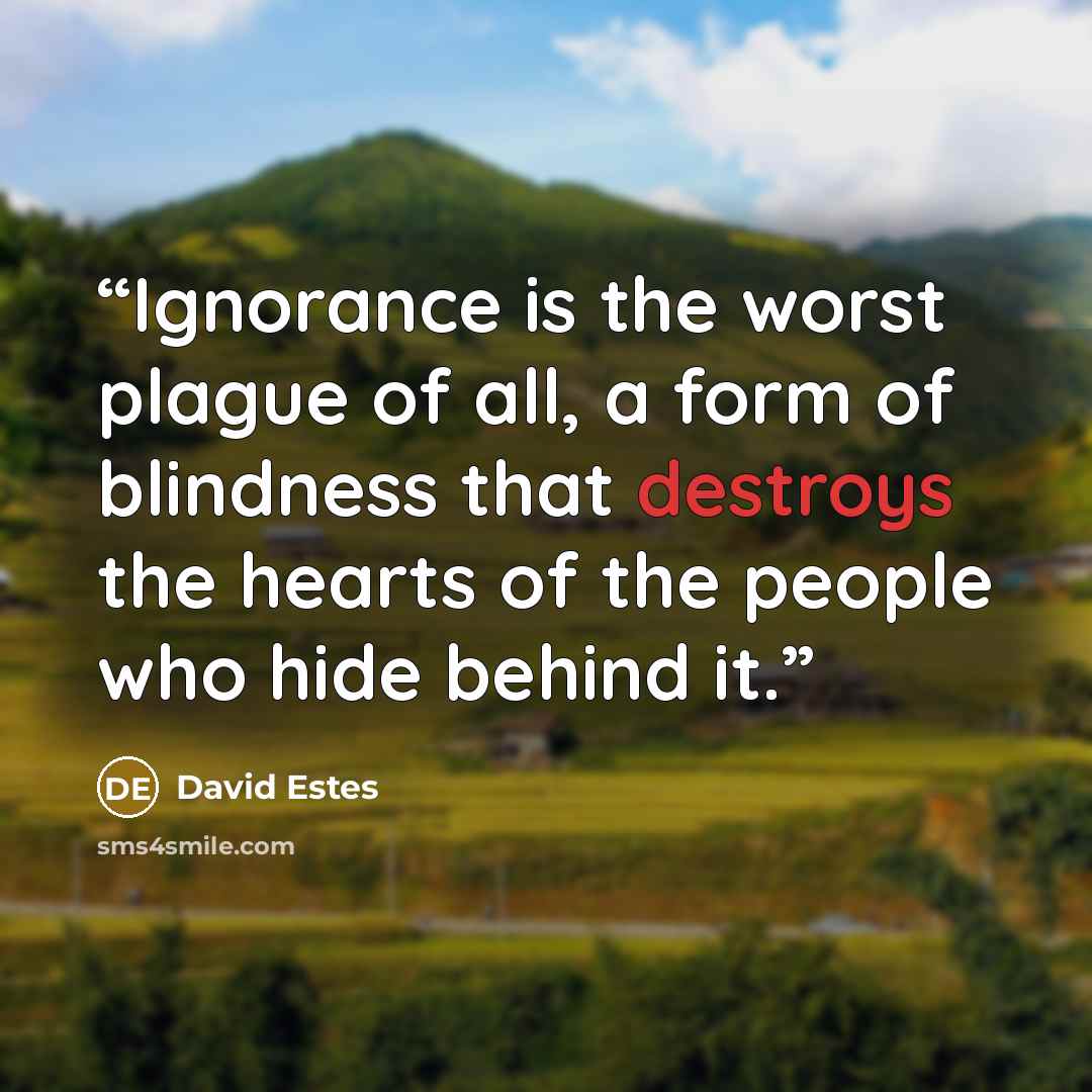 “Ignorance is the worst plague of all, a form of blindness that destroys the hearts of the people who hide behind it.” quote by David Estes