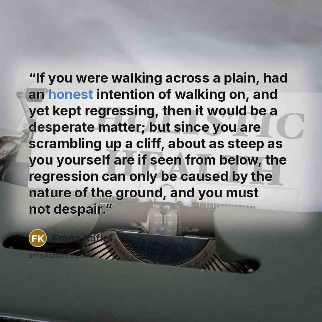“If you were walking across a plain, had an honest intention of walking on, and yet kept regressing, then it would be a desperate matter; but since you are scrambling up a cliff, about as steep as you yourself are if seen from below, the regression can only be caused by the nature of the ground…” quote by franz kafka
