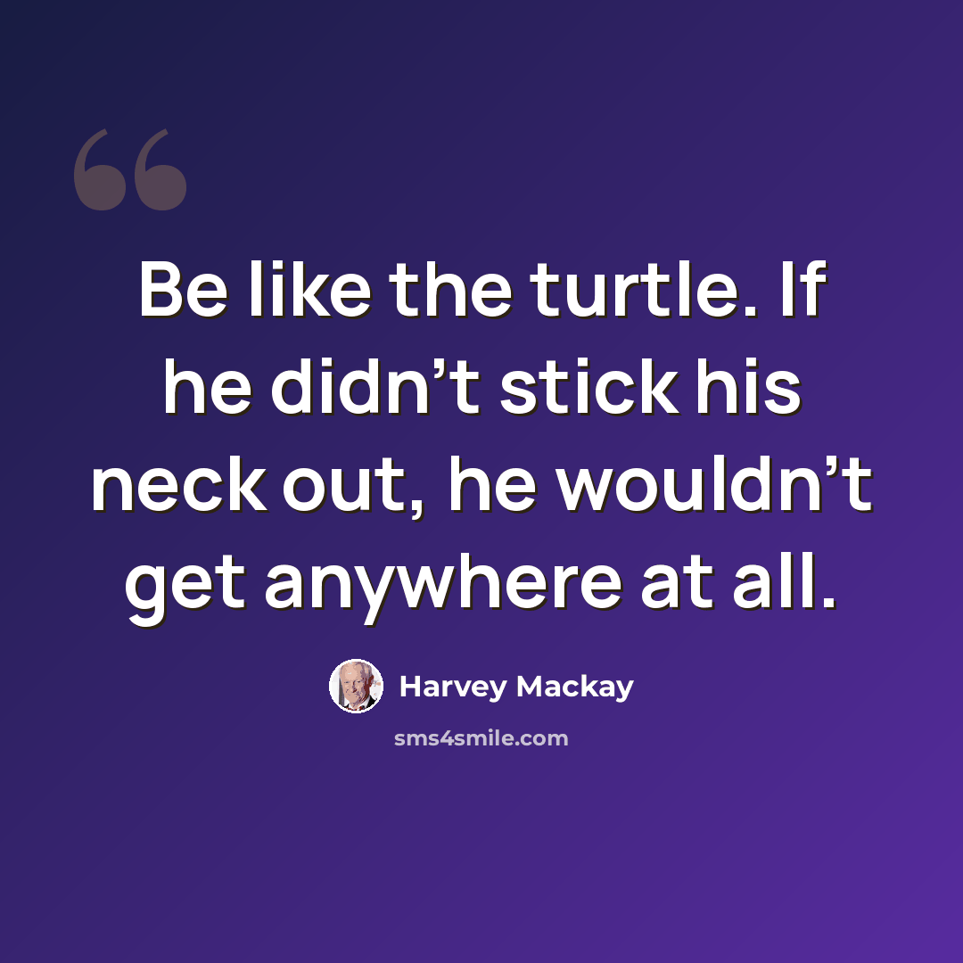 “Be like the turtle. If he didn't stick his neck out, he wouldn't get anywhere at all.” quote by Harvey Mackay