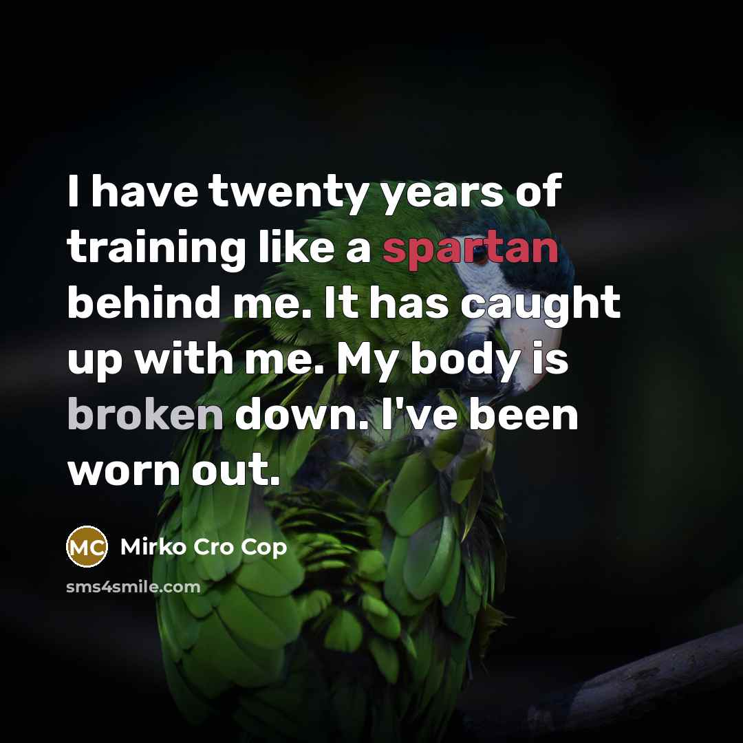 “I have twenty years of training like a spartan behind me. It has caught up with me. My body is broken down. I've been worn out.” quote by Mirko Cro Cop