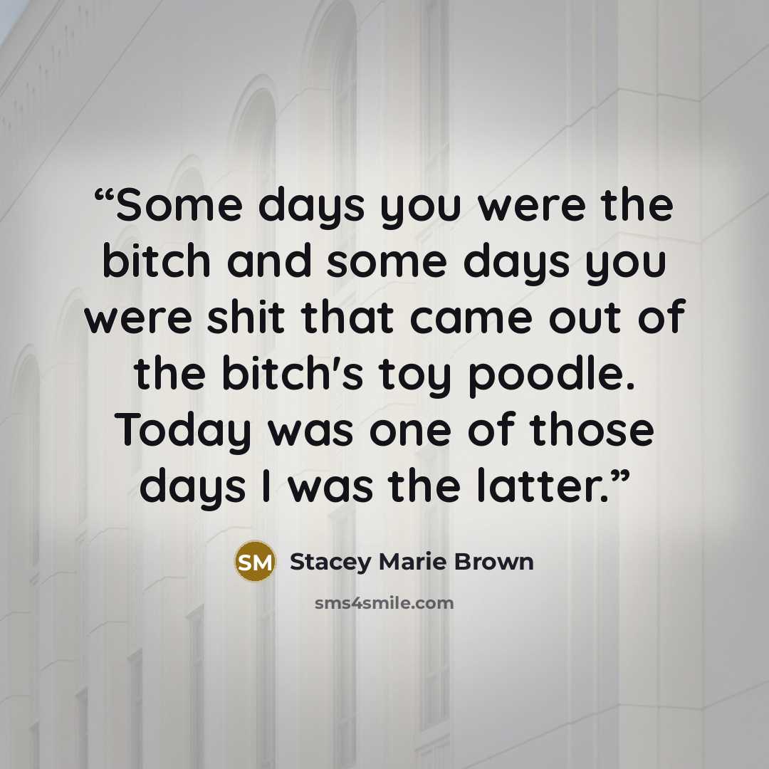“Some days you were the bitch and some days you were shit that came out of the bitch's toy poodle. Today was one of those days I was the latter.” quote by Stacey Marie Brown
