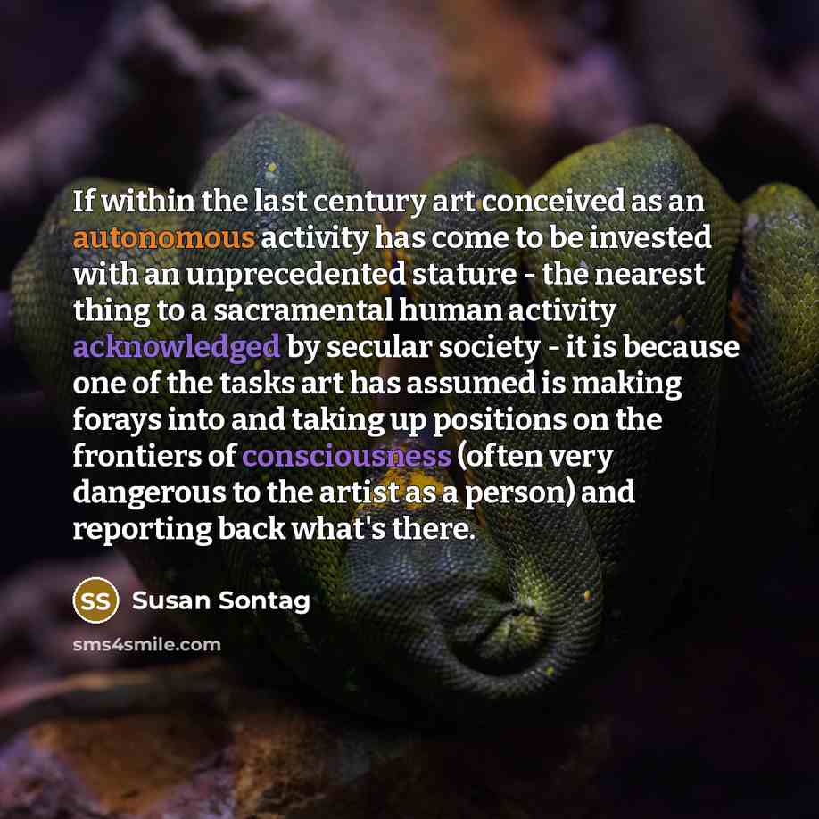 “If within the last century art conceived as an autonomous activity has come to be invested with an unprecedented stature - the nearest thing to a sacramental human activity acknowledged by secular society - it is because one of the tasks art has assumed is making forays into and taking up…” quote by Susan Sontag