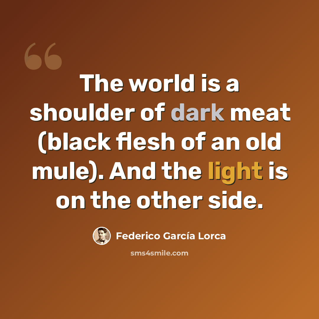 “The world is a shoulder of dark meat (black flesh of an old mule). And the light is on the other side.” quote by Federico Garcia Lorca